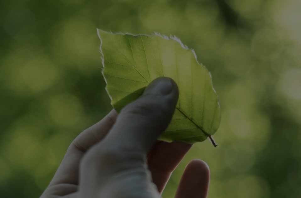 Accelerating Sustainable IT Programs With As-A-Service Models | Forrester Study
