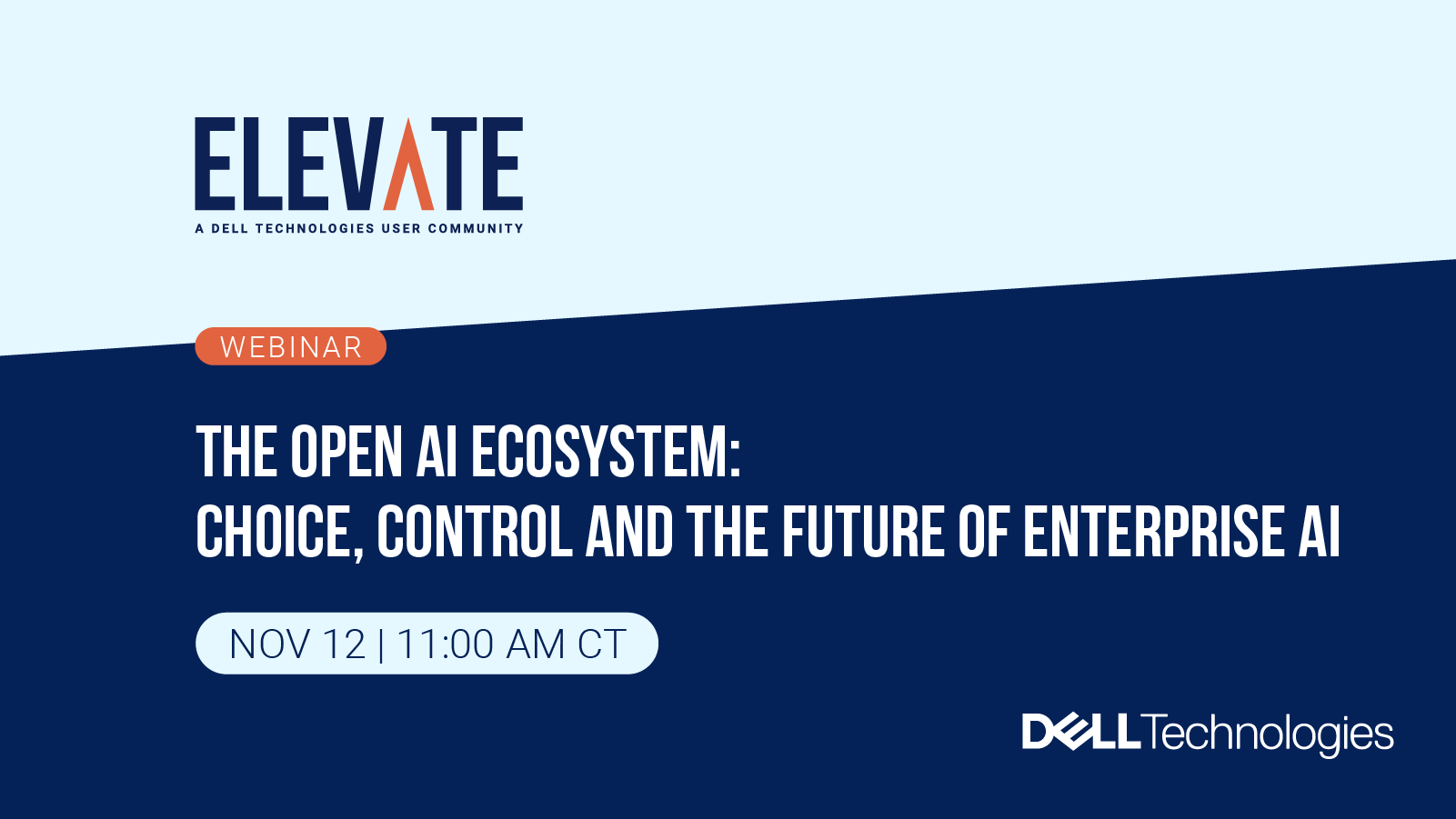 The Open AI Ecosystem: Choice, Control and the Future of Enterprise AI